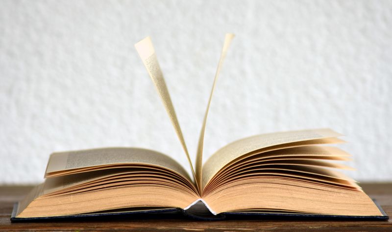 Close-up of open book pages with printed text